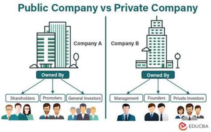 What are the two types of public corporation?