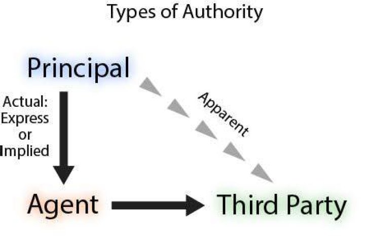 What are the types of agent authority?