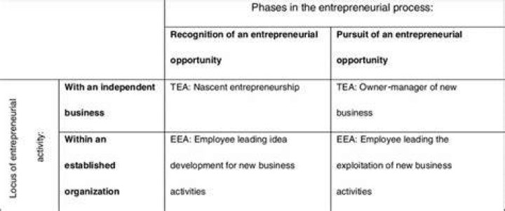 What are the types of entrepreneurial activity?