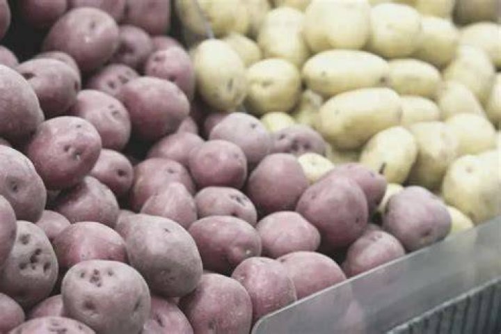What are the worst potatoes for mashing?