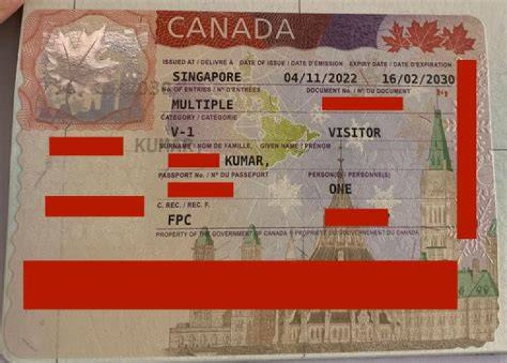 What are three 3 activities you Cannot do with a visitor visa?