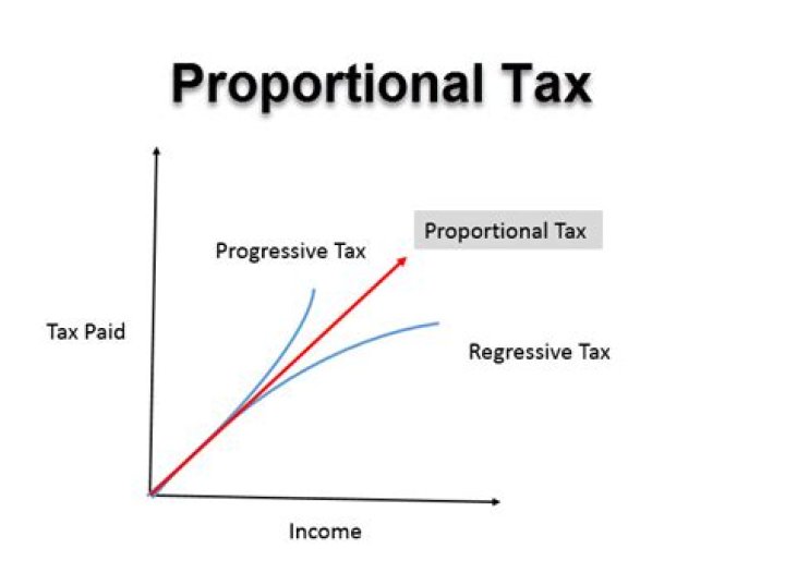 What are three common taxes everyone pays?