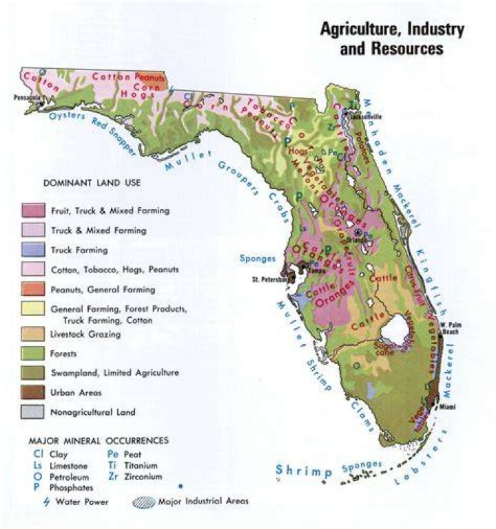 What are three major industries in Florida?