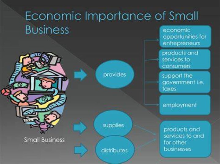 What are three reason small business are important to the economy?