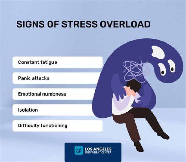 What are three symptoms of stress overload?