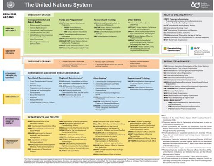 What are United Nations entities?