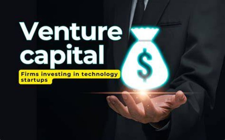 What are venture capital firms investing in?