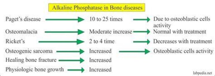 What autoimmune disease causes elevated alkaline phosphatase?