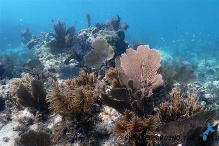 What banks are in the Florida Keys?