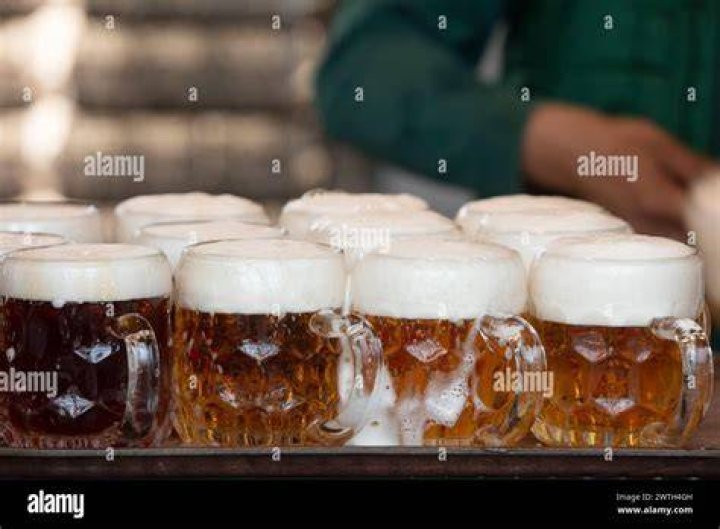 What beer is Vienna known for?