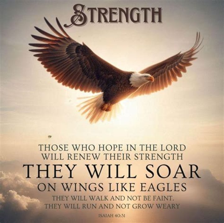 What Bible verse is on eagles wings?