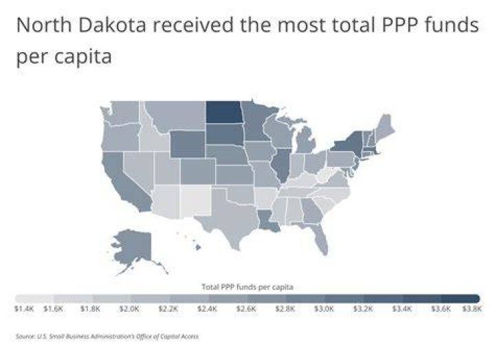 What big companies received PPP money?