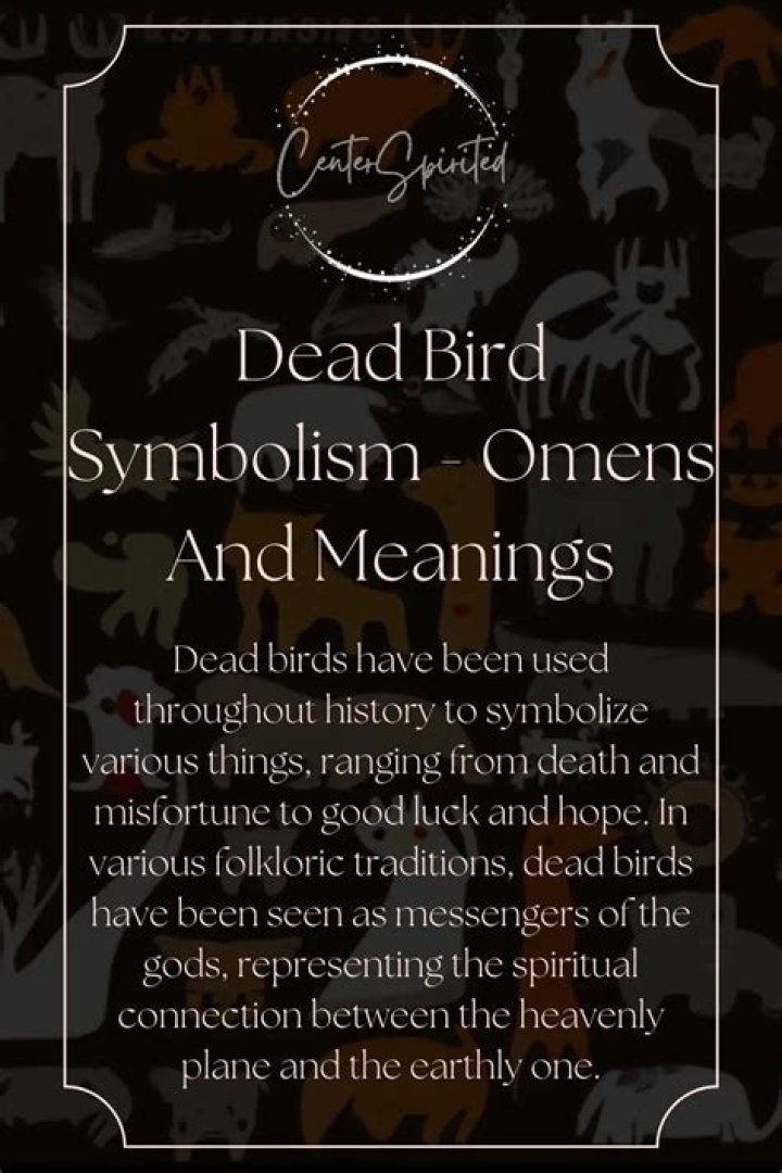 What bird is an omen of death?