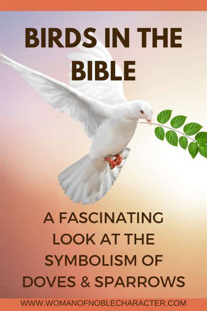 What bird is most mentioned in the Bible?