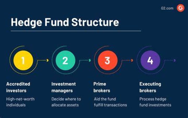 What business structure are hedge funds?