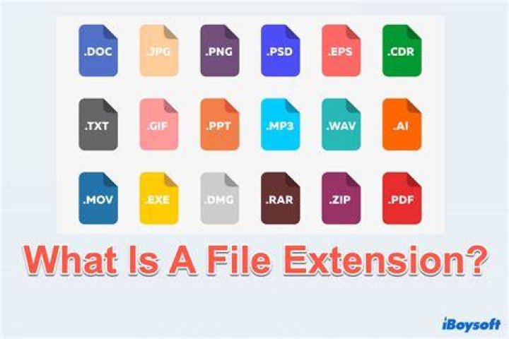 What can a 2018 file extension be used for?