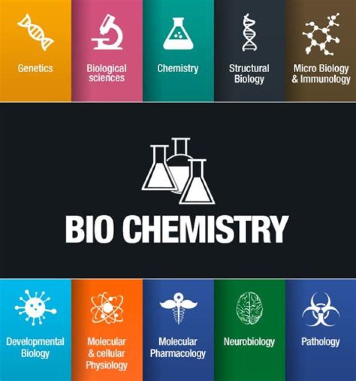 What can I do with a biochemistry degree in South Africa?