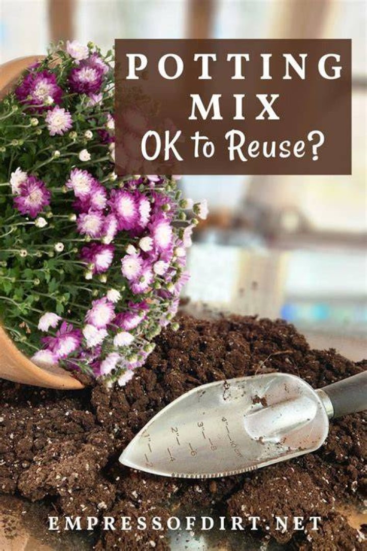 What can I do with old potting mix?