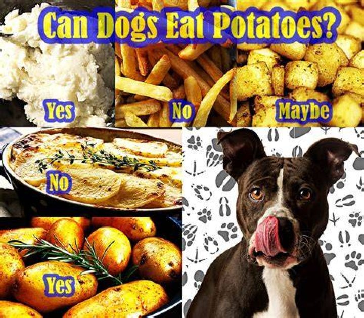 What can I eat instead of potatoes?
