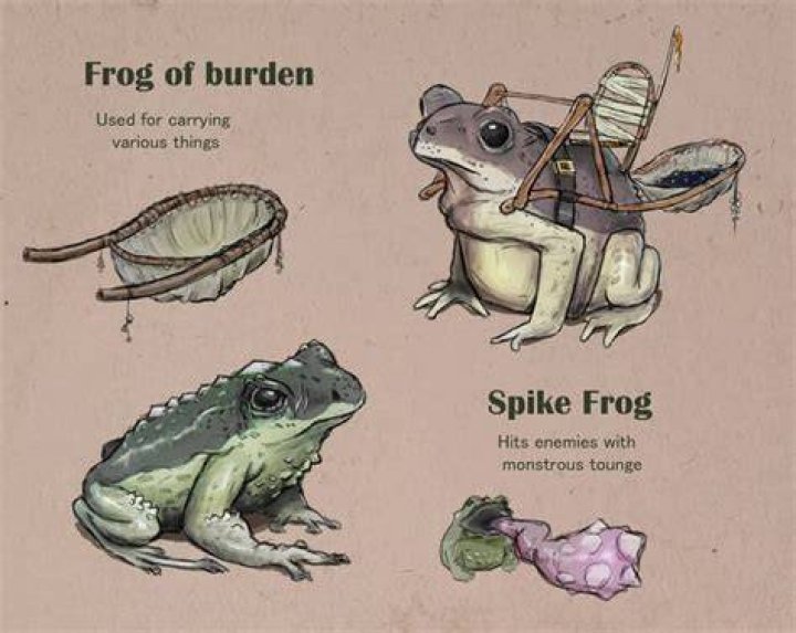 What can kill frogs?