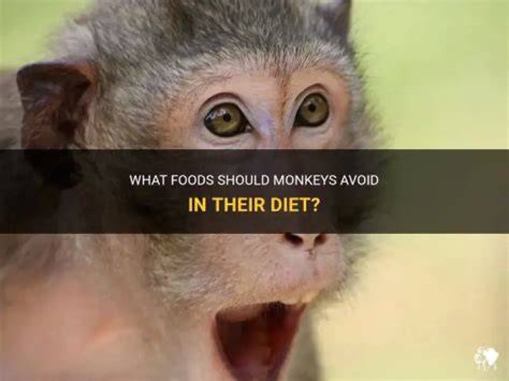 What can monkeys not eat?