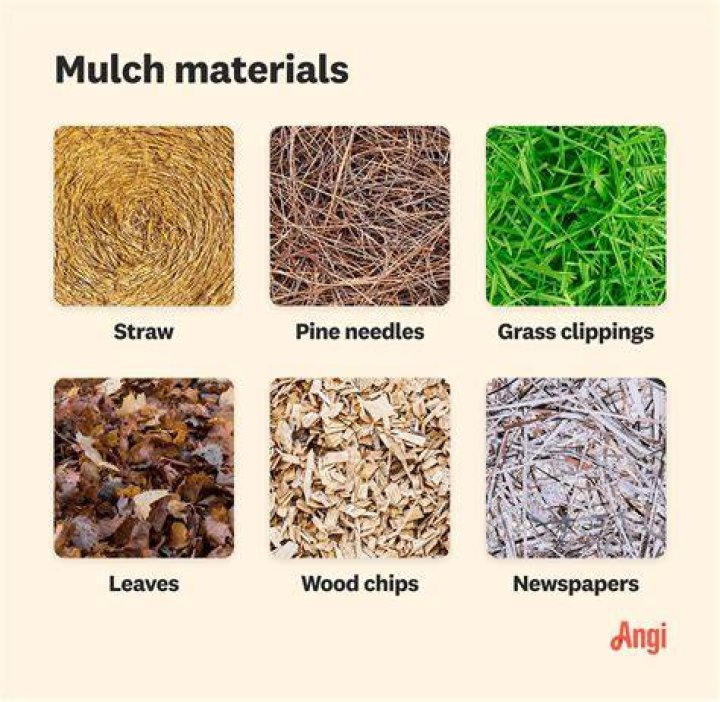 What can you put down instead of mulch?
