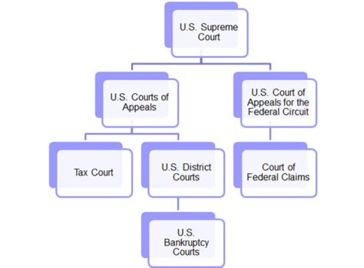 What cases go to US Tax Court?
