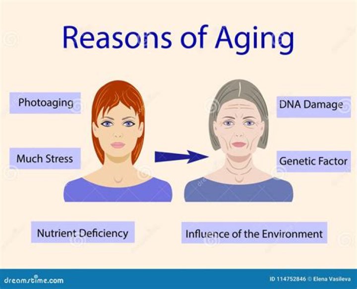 What causes aging?