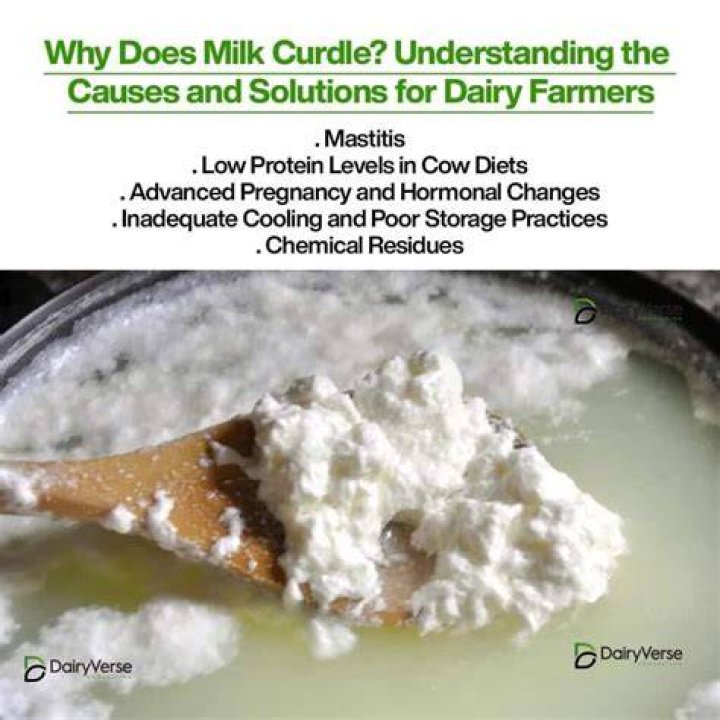 What causes curdling in milk?