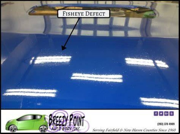 What causes fisheyes in paint?