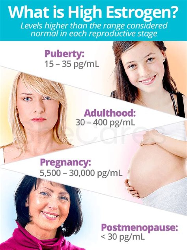 What causes high estrogen levels?