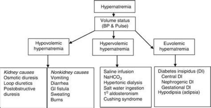 What causes Hypodipsia?