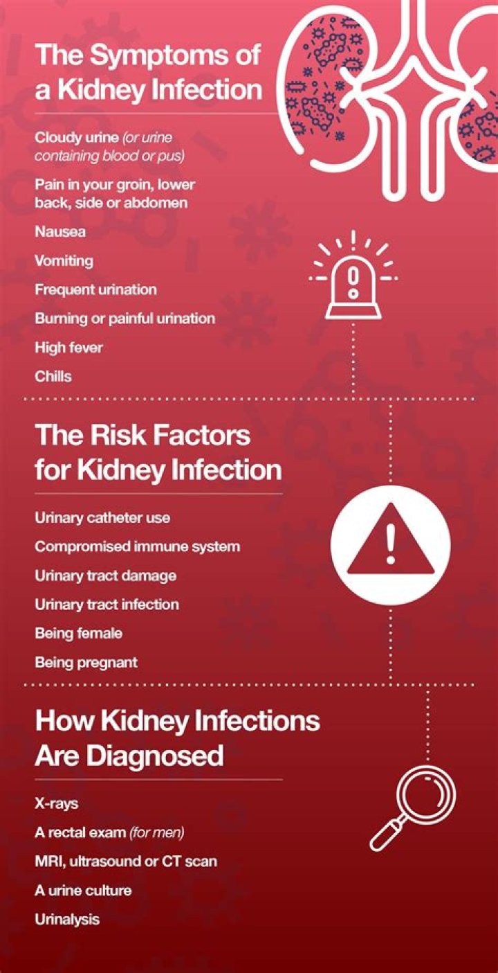 What causes kidney infection?