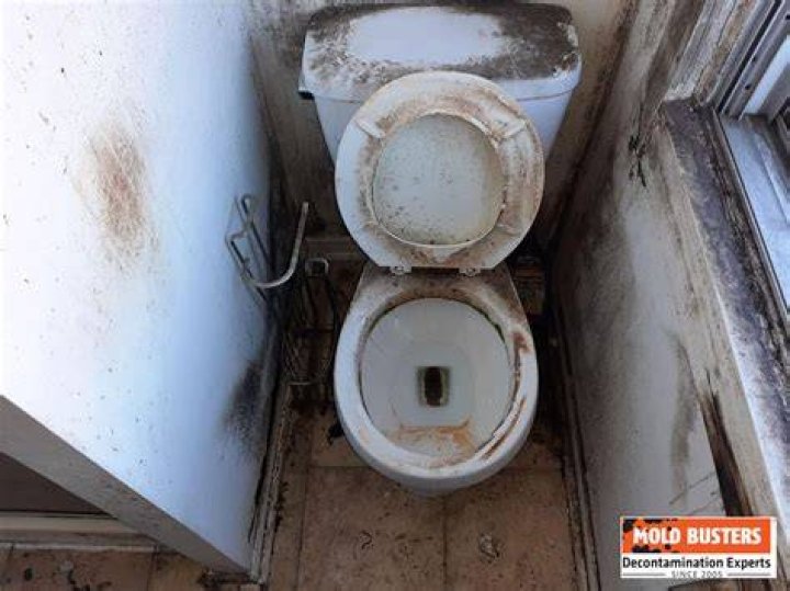 What causes mold in back of toilet?
