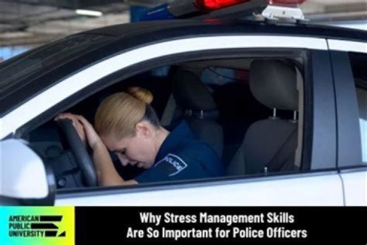 What causes police officers stress?