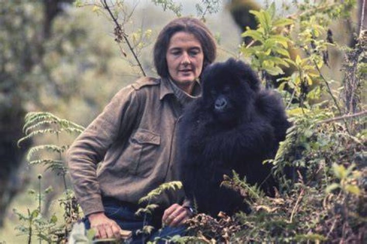 What college did Dian Fossey attend?
