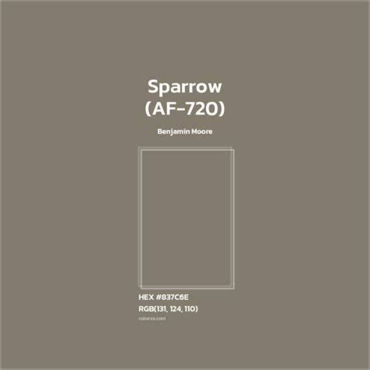 What color is Sparrow?