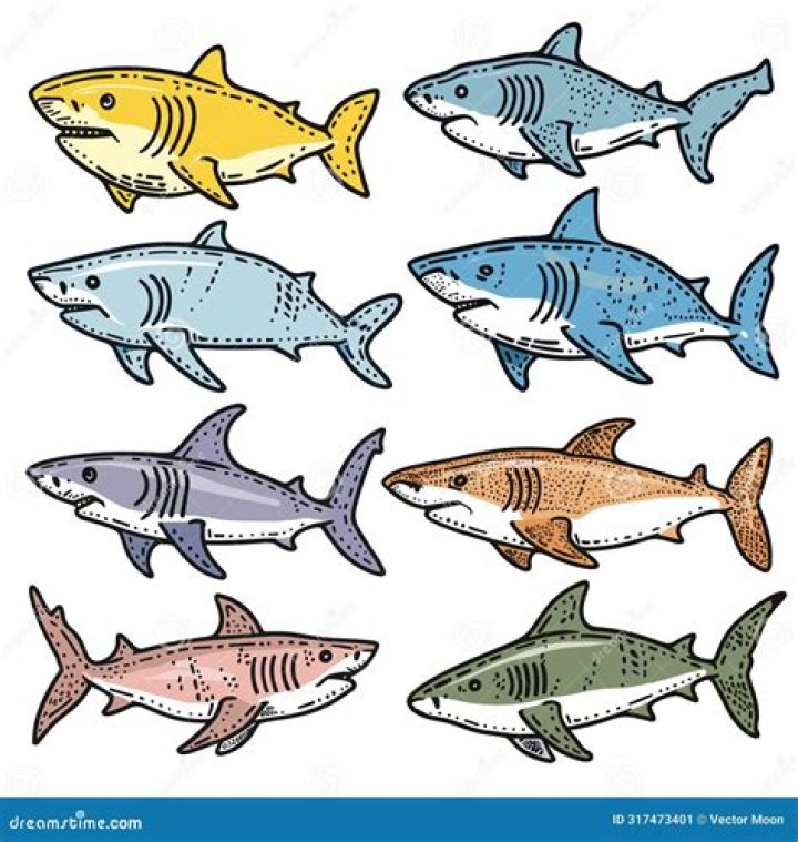What colour deters sharks?