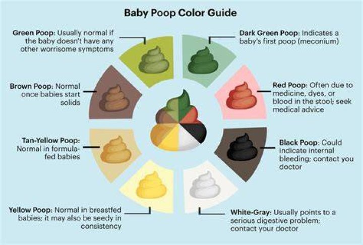 What Colour should a 2 week old baby poop be?