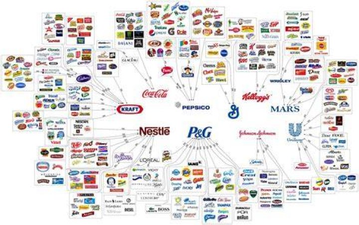 What companies are in the consumer goods industry?