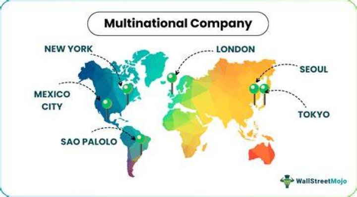 What companies are multinational corporation?