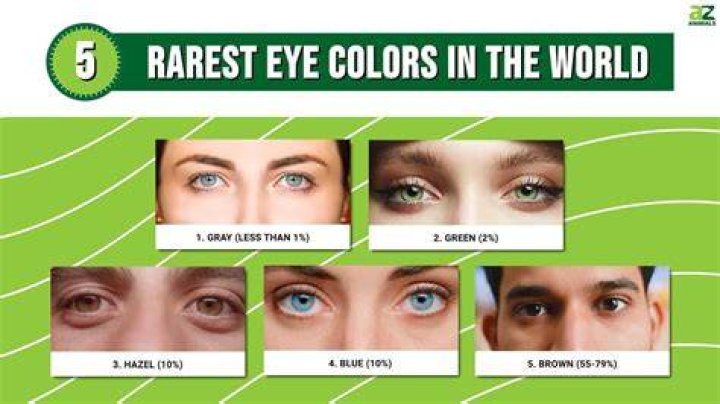 What country has the highest percentage of hazel eyes?