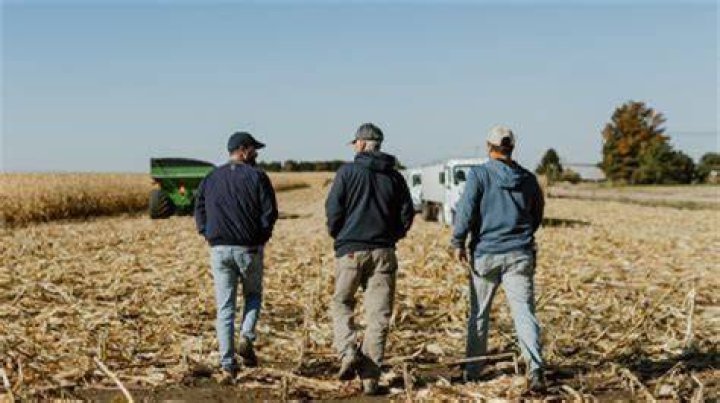 What country uses corn the most?