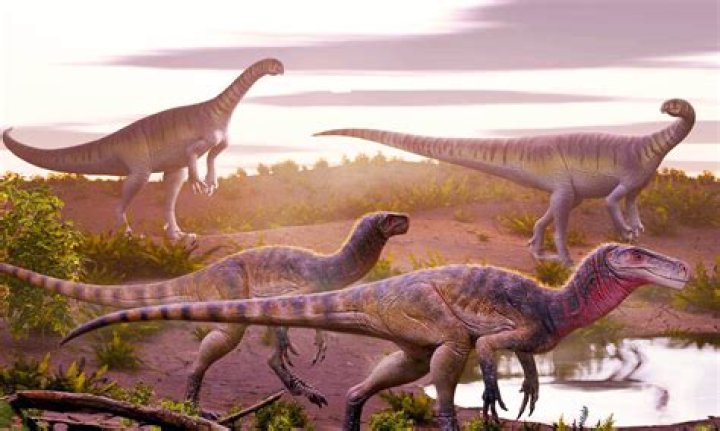 What creatures survived the dinosaur extinction?