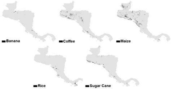 What crops grow in Central America?