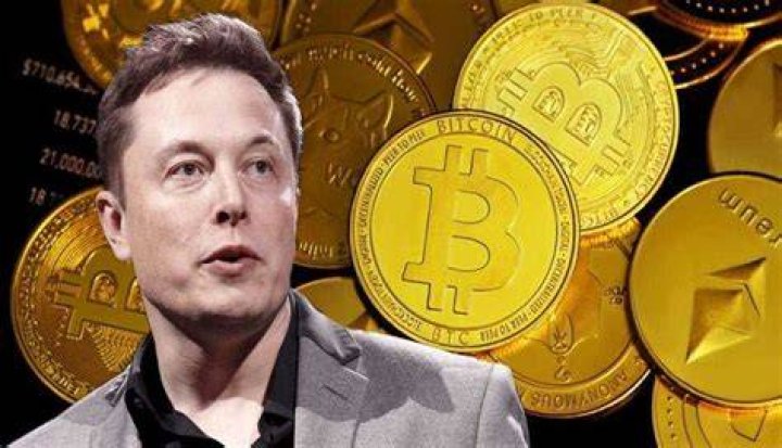 What crypto currency does Elon Musk have?