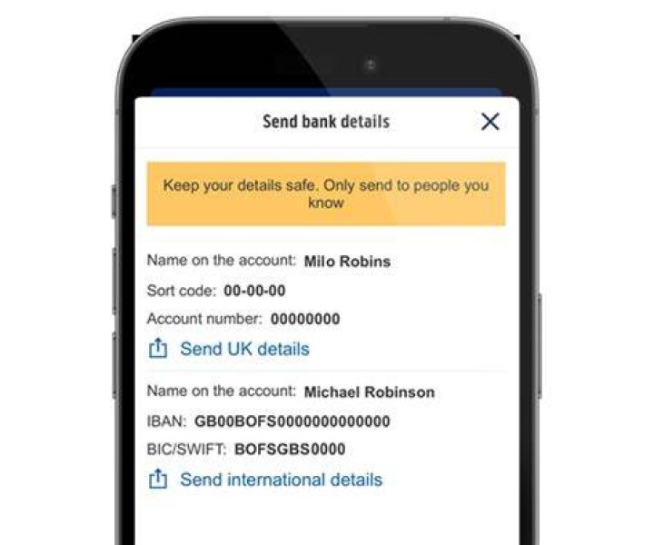 What details do I need to give someone for them to transfer money in bank account?
