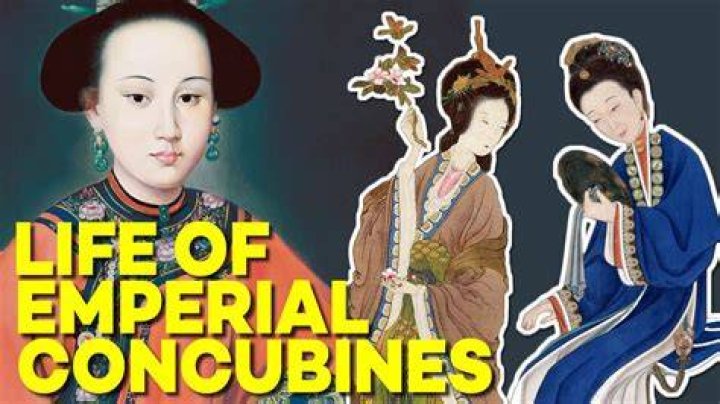 What did concubines do?