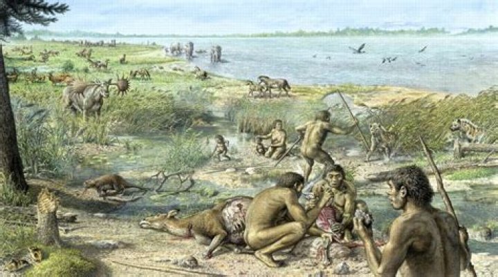 What did our ancient ancestors eat?