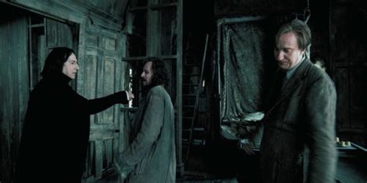 What did Sirius and James do to Snape?